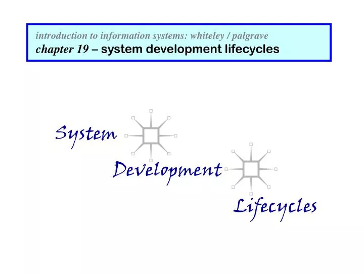 introduction to information systems whiteley palgrave chapter 19 system development lifecycles