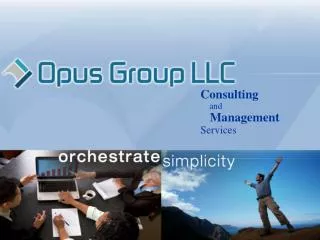Consulting and Management Services