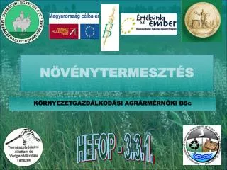 n v nytermeszt s