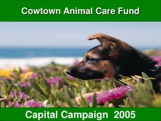 Cowtown Animal Care Fund