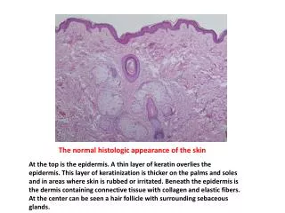 The normal histologic appearance of the skin