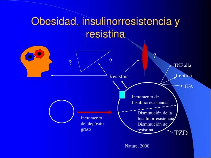 obesidad insulinorresistencia y resistina