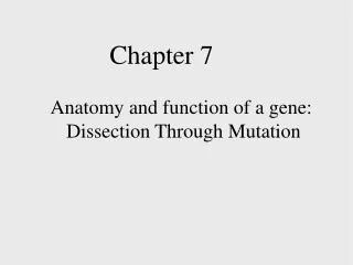 Anatomy and function of a gene: Dissection Through Mutation