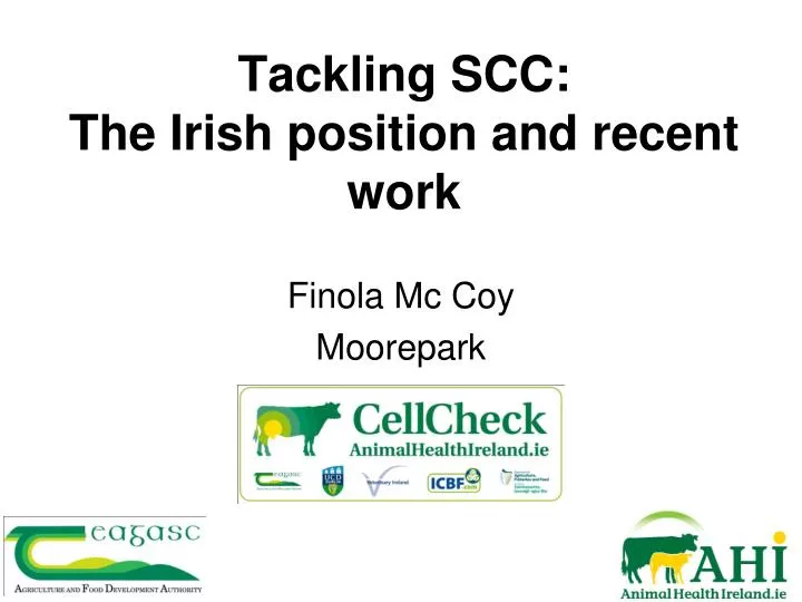 tackling scc the irish position and recent work