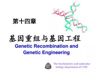 基因重组与基因工程 Genetic Recombination and Genetic Engineering