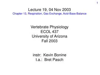 Lecture 19, 04 Nov 2003 Chapter 13, Respiration, Gas Exchange, Acid-Base Balance Vertebrate Physiology ECOL 437 Universi