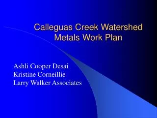 Calleguas Creek Watershed Metals Work Plan