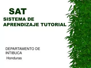 sat sistema de aprendizaje tutorial