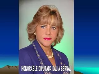 HONORABLE DIPUTADA DALIA BERNAL