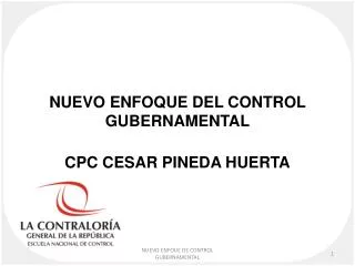 nuevo enfoque del control gubernamental