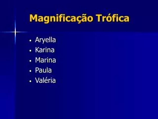 magnifica o tr fica