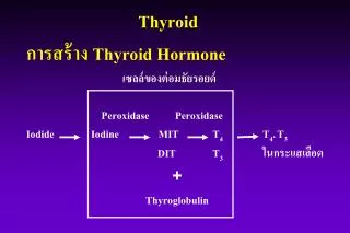thyroid