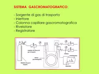 SISTEMA GASCROMATOGRAFICO : - Sorgente di gas di trasporto Iniettore Colonna capillare gascromatografica Rivelatore