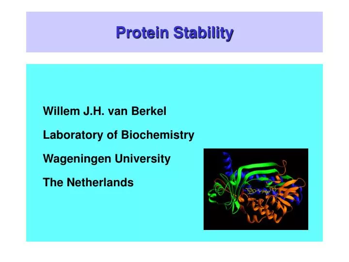protein stability