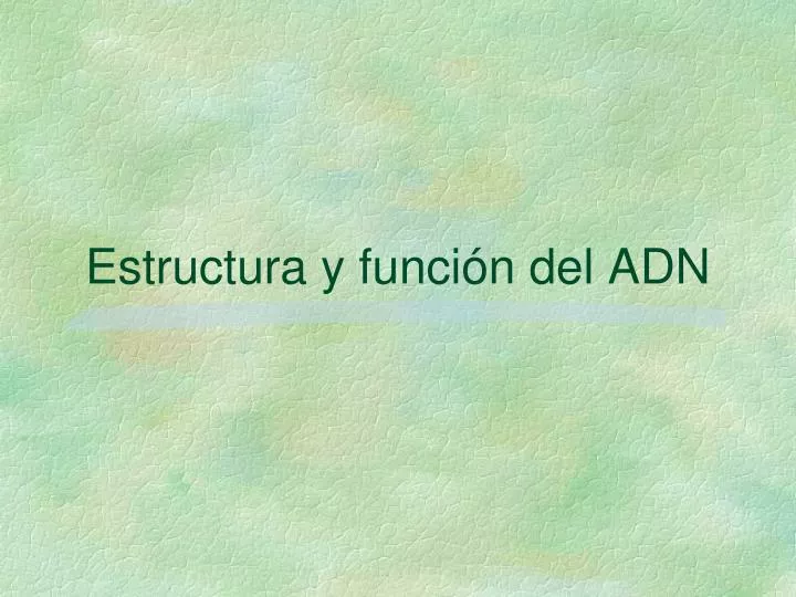 estructura y funci n del adn