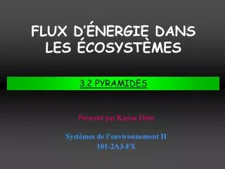 FLUX D ’ÉNERGIE DANS LES ÉCOSYSTÈMES