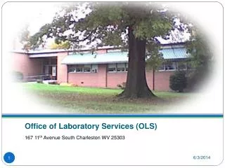Office of Laboratory Services (OLS)