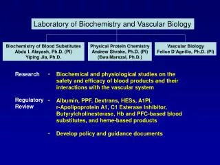Biochemical and physiological studies on the safety and efficacy of blood products and their interactions with the vascu