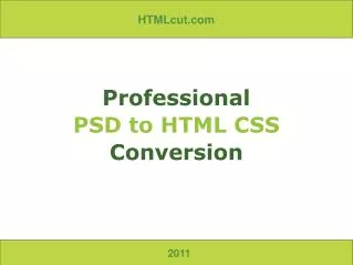 Professional PSD to HTML CSS Conversion