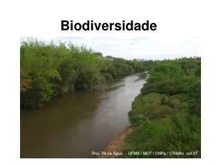 Biodiversidade