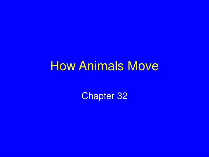 how animals move