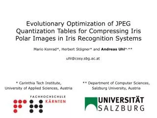 Evolutionary Optimization of JPEG Quantization Tables for Compressing Iris Polar Images in Iris Recognition Systems
