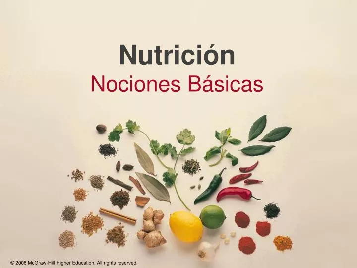 nutrici n nociones b sicas