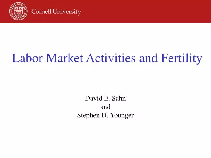 labor market activities and fertility