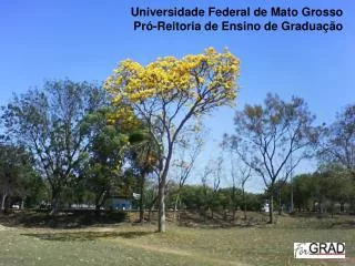 Universidade Federal de Mato Grosso Pró-Reitoria de Ensino de Graduação