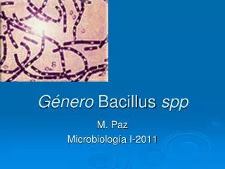 Género Bacillus spp