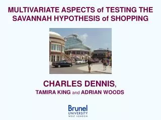 MULTIVARIATE ASPECTS of TESTING THE SAVANNAH HYPOTHESIS of SHOPPING