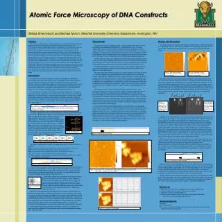 Atomic Force Microscopy of DNA Constructs