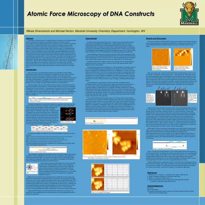 atomic force microscopy of dna constructs