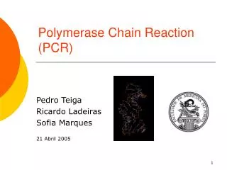 polymerase chain reaction pcr