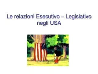 Le relazioni Esecutivo – Legislativo negli USA