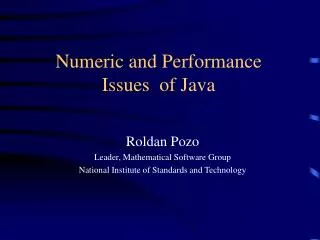 Numeric and Performance Issues of Java