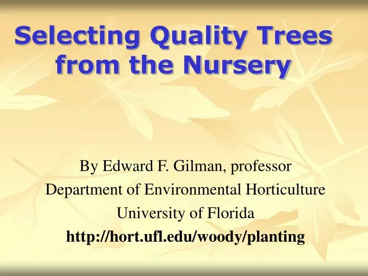selecting quality trees from the nursery