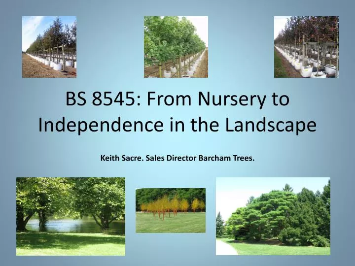 bs 8545 from nursery to independence in the landscape