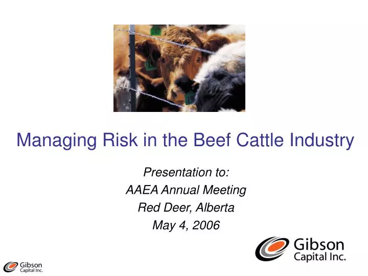managing risk in the beef cattle industry