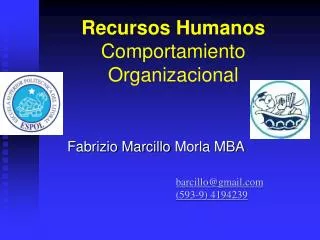 Recursos Humanos Comportamiento Organizacional