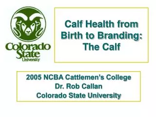 Calf Health from Birth to Branding: The Calf