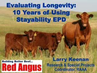 Evaluating Longevity: 10 Years of Using Stayability EPD