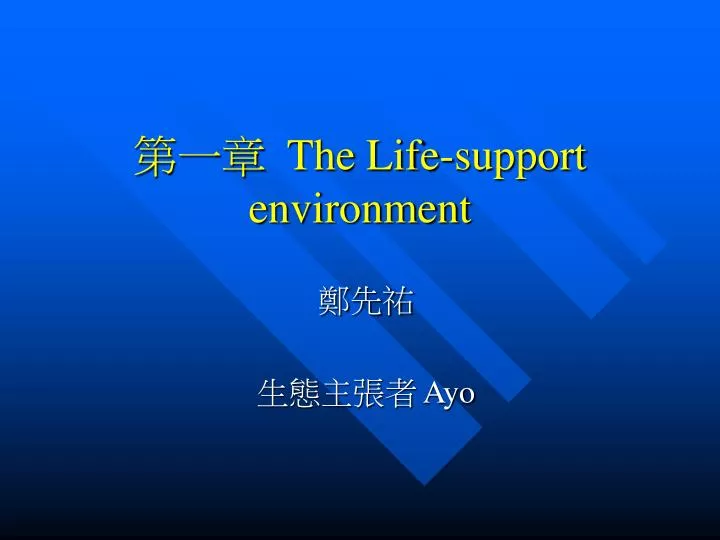 the life support environment