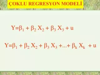 oklu regresyon model
