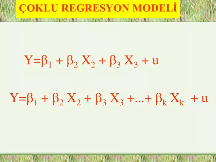 oklu regresyon model