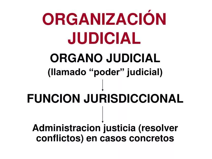 organizaci n judicial
