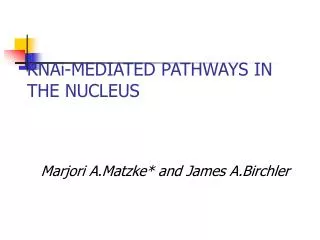 RNAi-MEDIATED PATHWAYS IN THE NUCLEUS