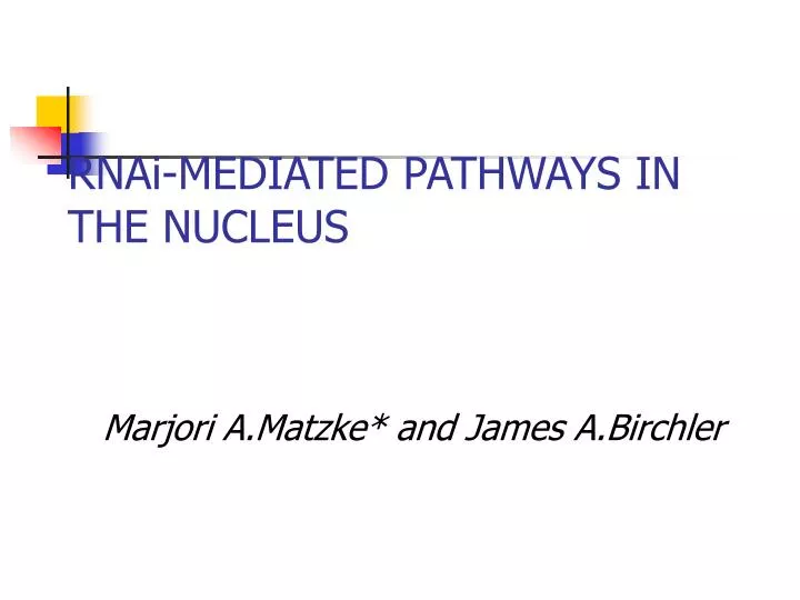 rnai mediated pathways in the nucleus