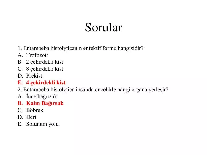 sorular