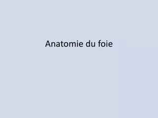 anatomie du foie